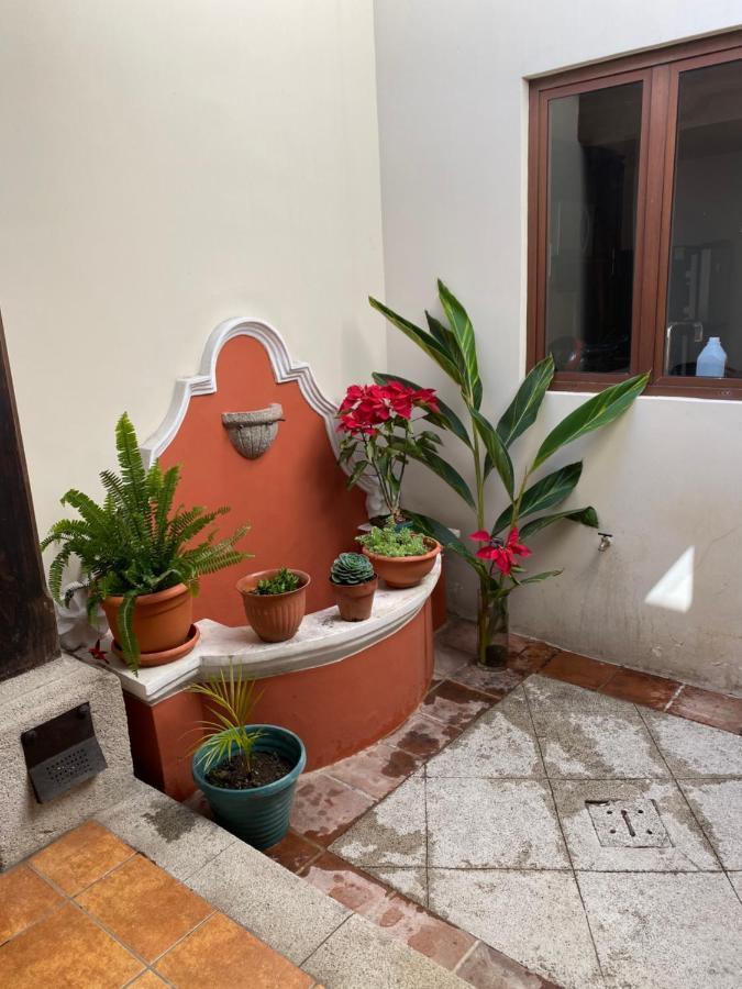 Suite Don Pedro: Hermoso Loft Con Parqueo Gratis! Antigua Exterior foto